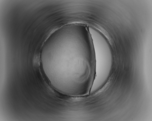 X0000091591377200709171126