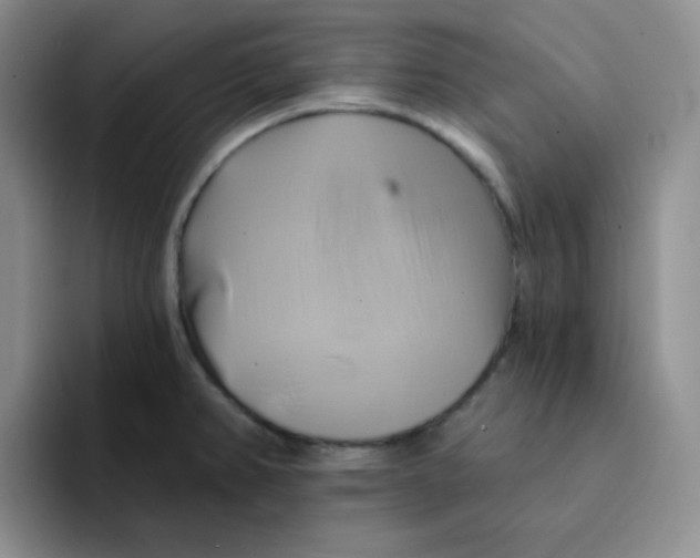 X0000091591382200709171126