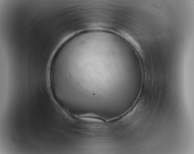 X0000091591384200709171126