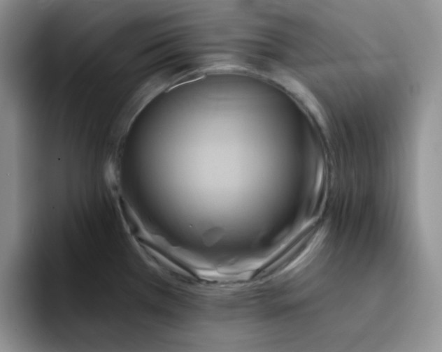 X0000091591385200709171126