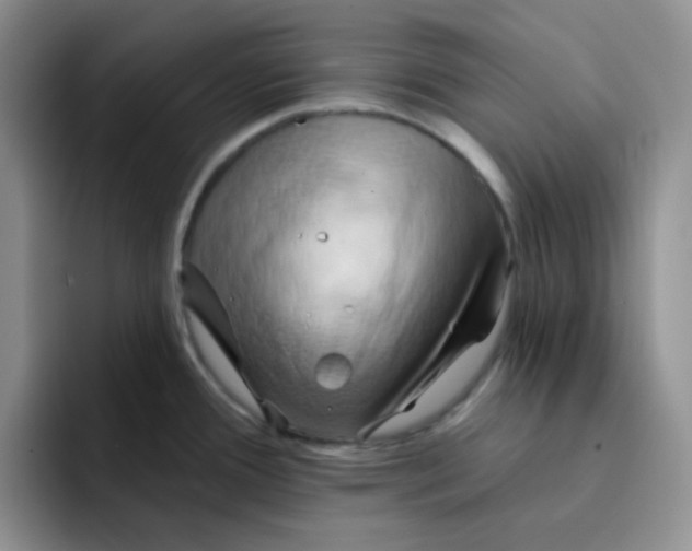 X0000091591388200709171126