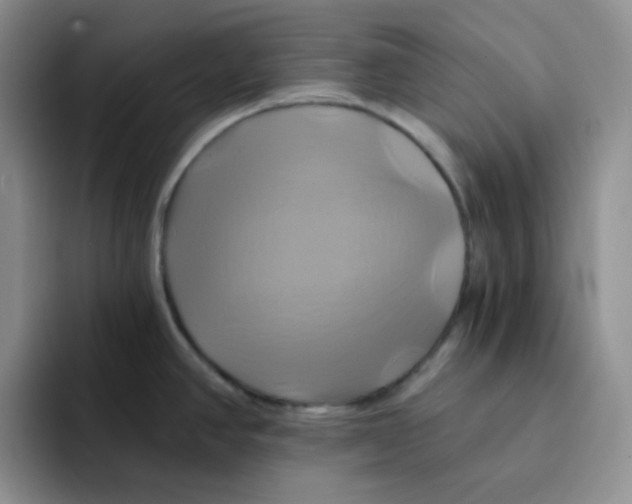 X0000091591390200709171126