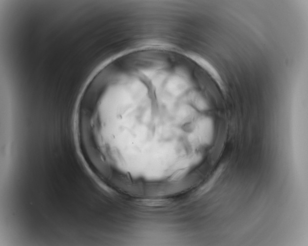 X0000091591391200709171126