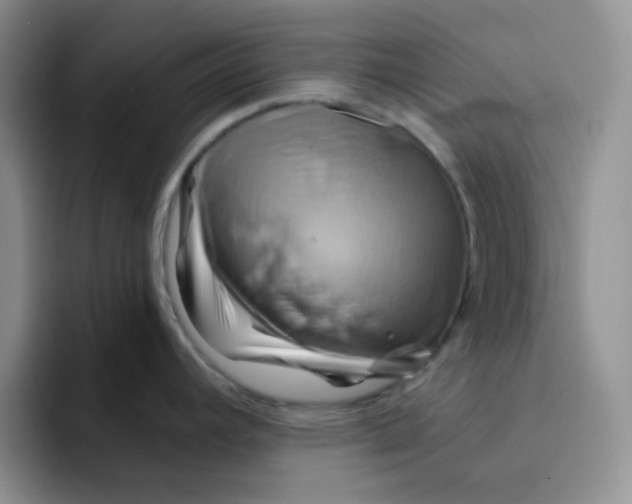 X0000091591392200709171126