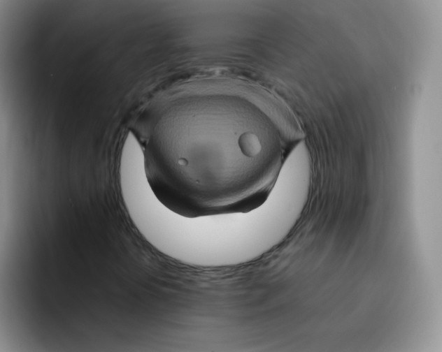 X0000091591394200709171125