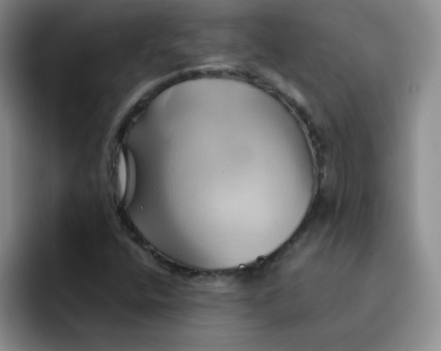 X0000091591400200709171125