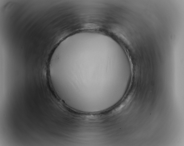 X0000091591401200709171125