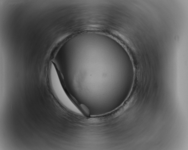 X0000091591402200709171125