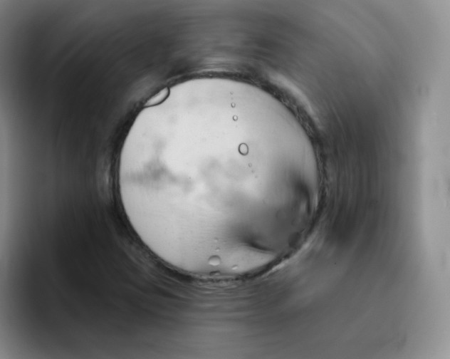 X0000091591403200709171125