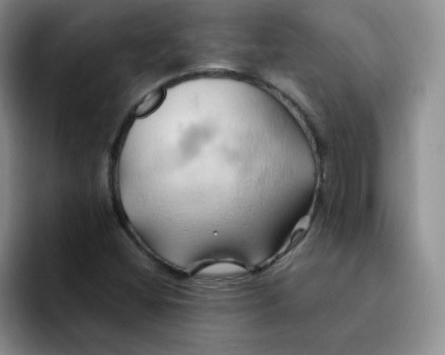 X0000091591404200709171125