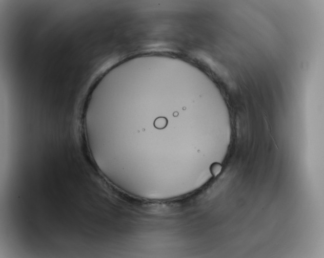 X0000091591405200709171125