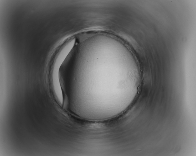 X0000091591406200709171125