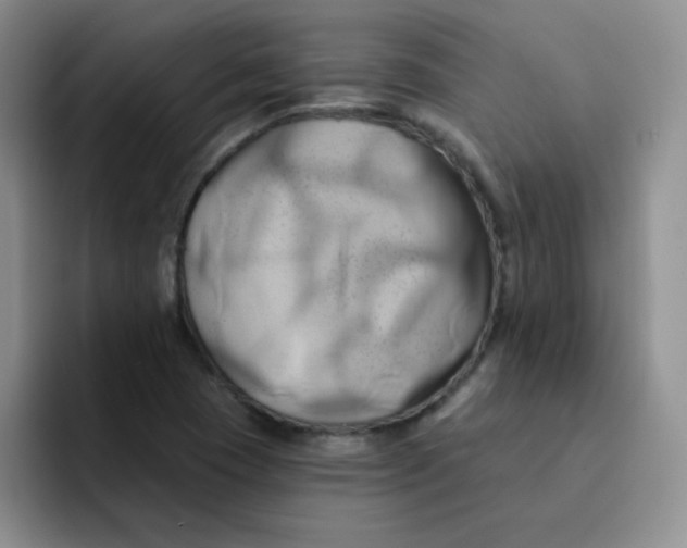 X0000091591409200709171126