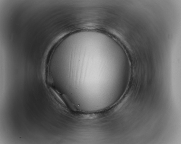 X0000091591410200709171126