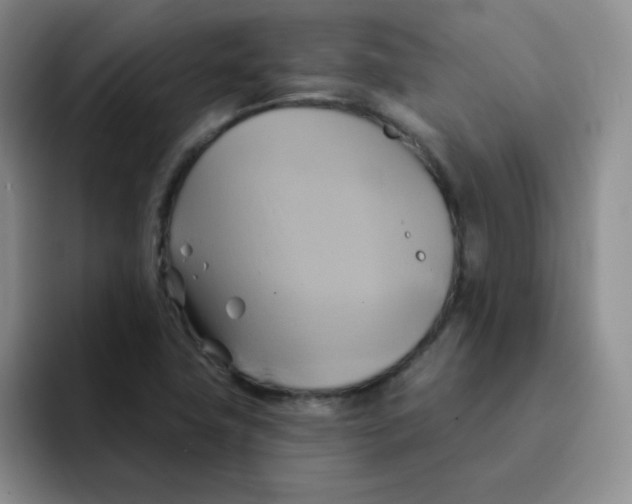 X0000091591411200709171126