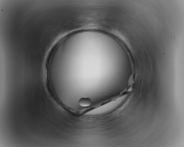 X0000091591414200709171126