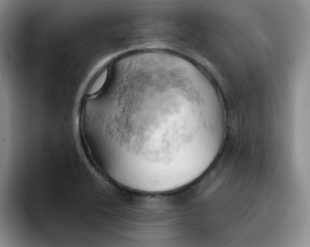 X0000091591416200709171126