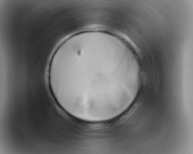 X0000091591421200709171126