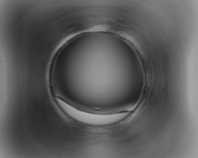 X0000091591422200709171126