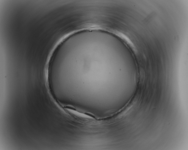 X0000091591424200709171126