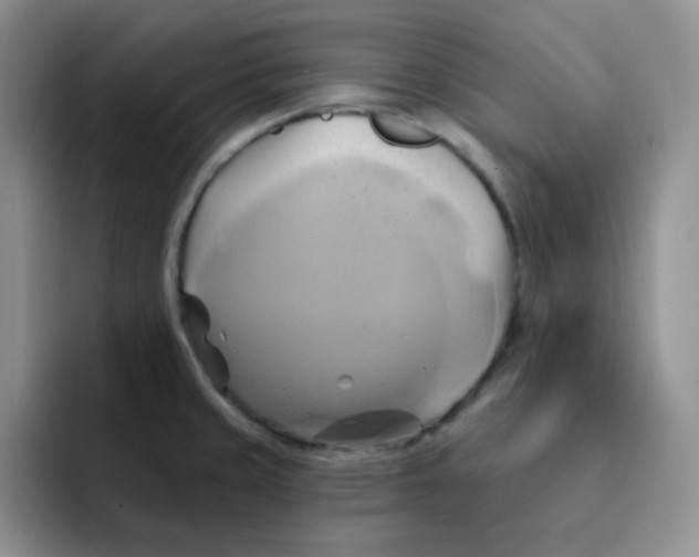 X0000091591429200709171126