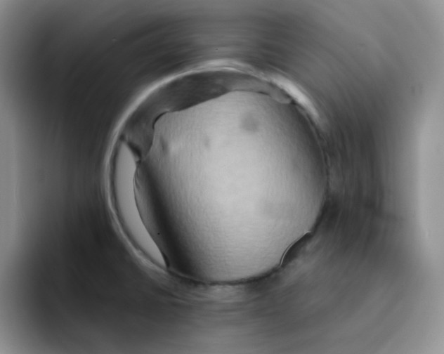 X0000091591430200709171126