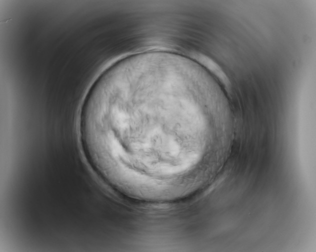 X0000091591431200709171126