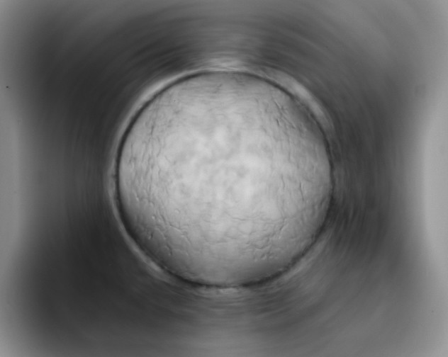 X0000091591432200709171126