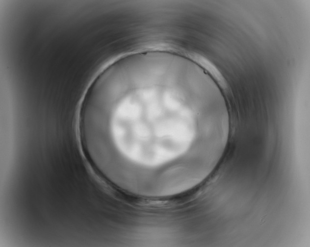 X0000091591439200709171126