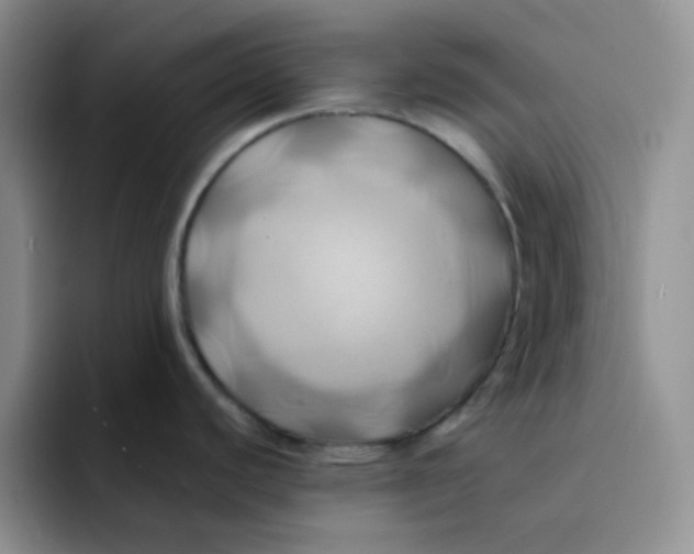 X0000091591440200709171126