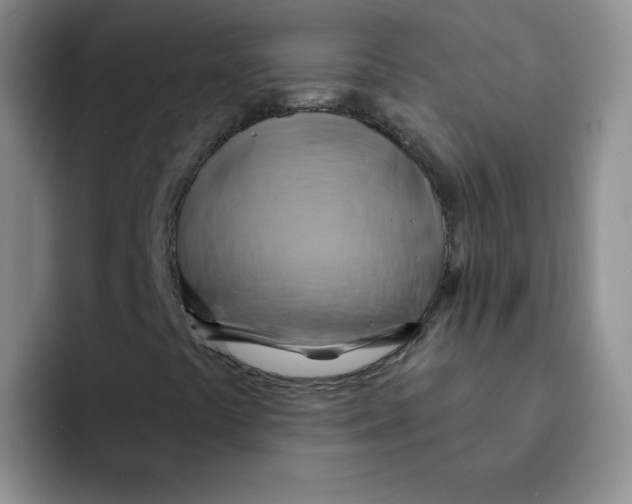 X0000091591441200709171125