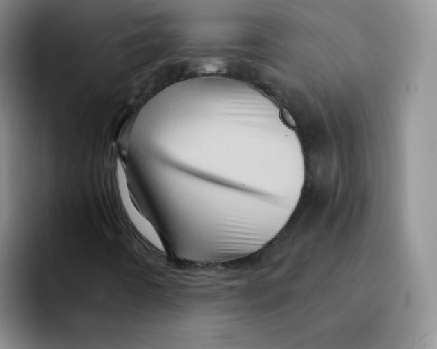 X0000091591442200709171125