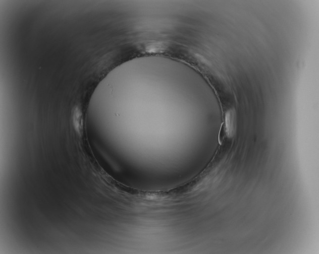 X0000091591443200709171125