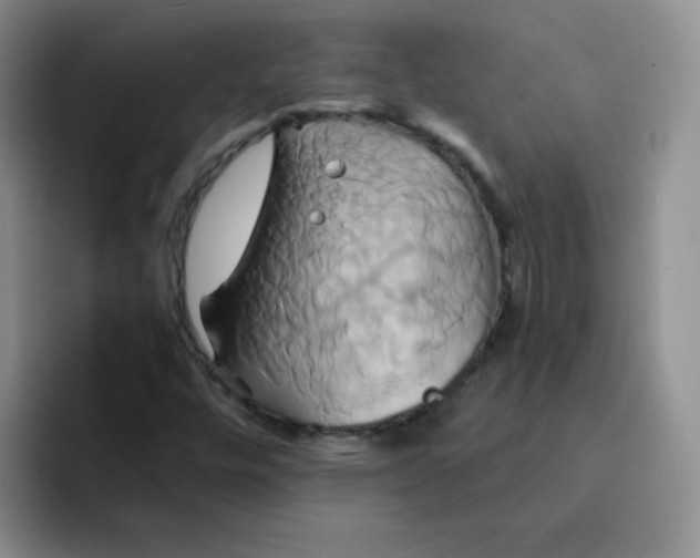 X0000091591448200709171125