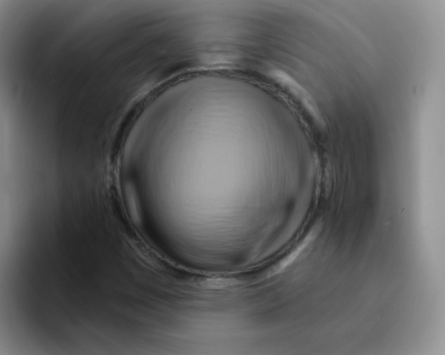 X0000091591449200709171125