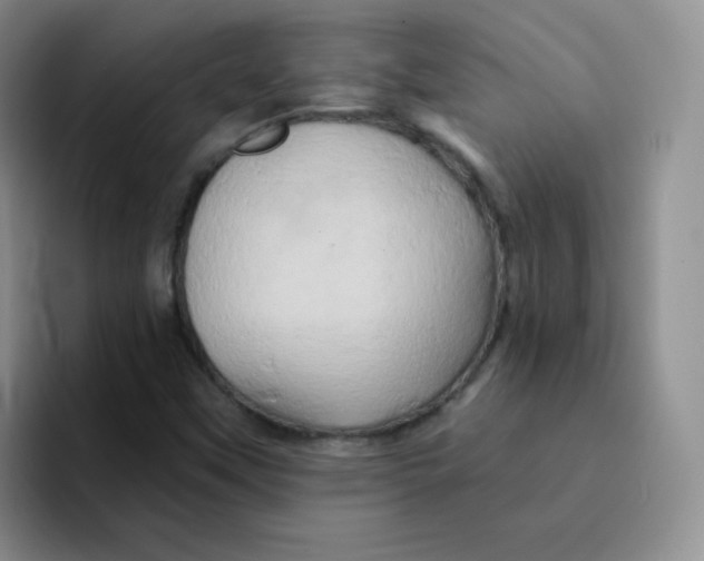 X0000091591451200709171125