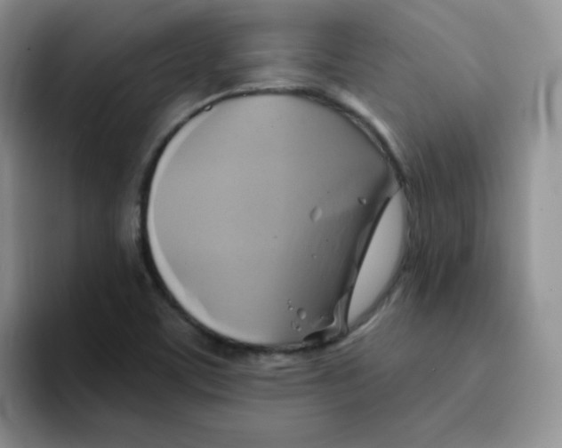 X0000091591459200709171125