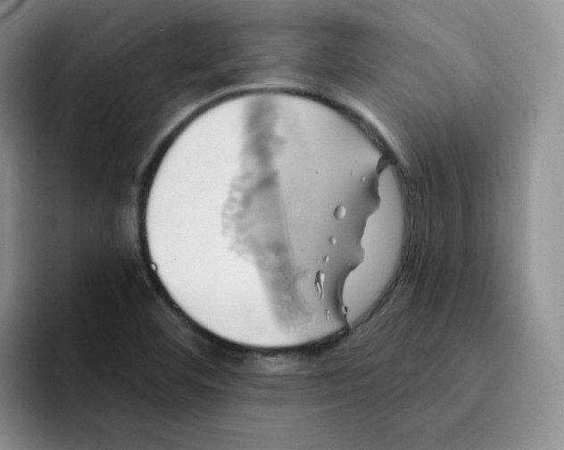 X0000091591460200709171125