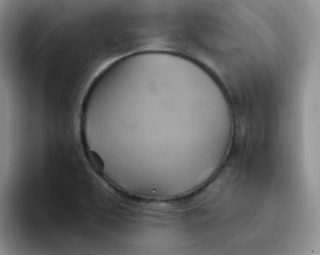 X0000091591463200709171125