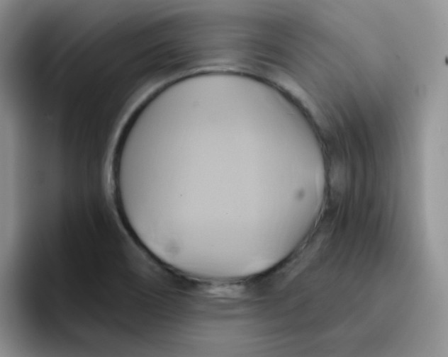 X0000091591466200709171125