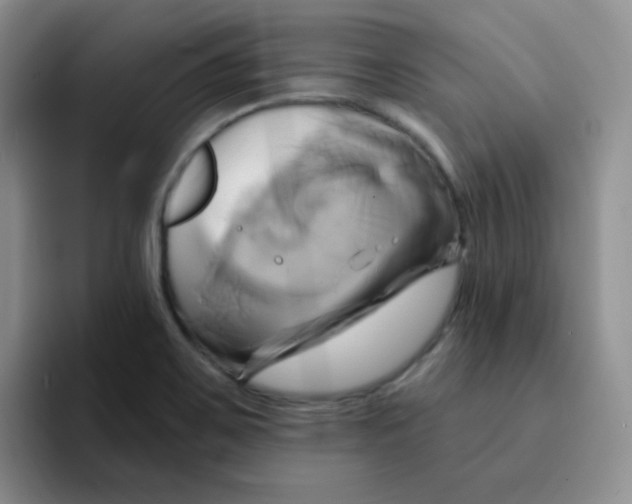 X0000091591467200709171125