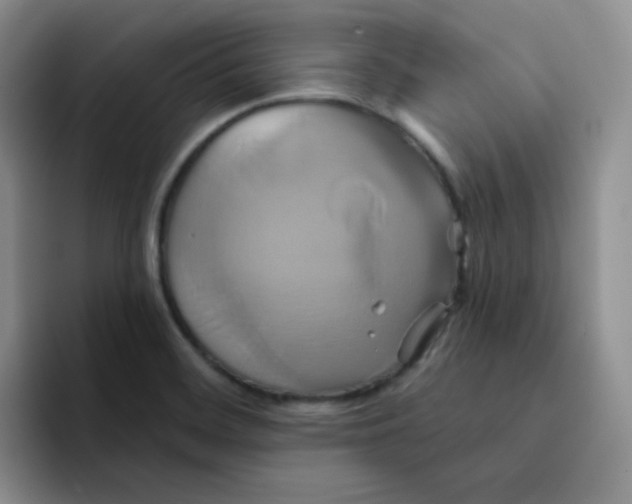 X0000091591468200709171125