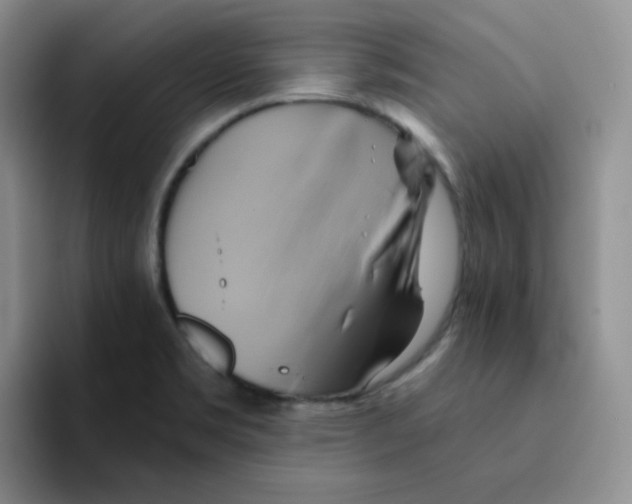 X0000091591469200709171125