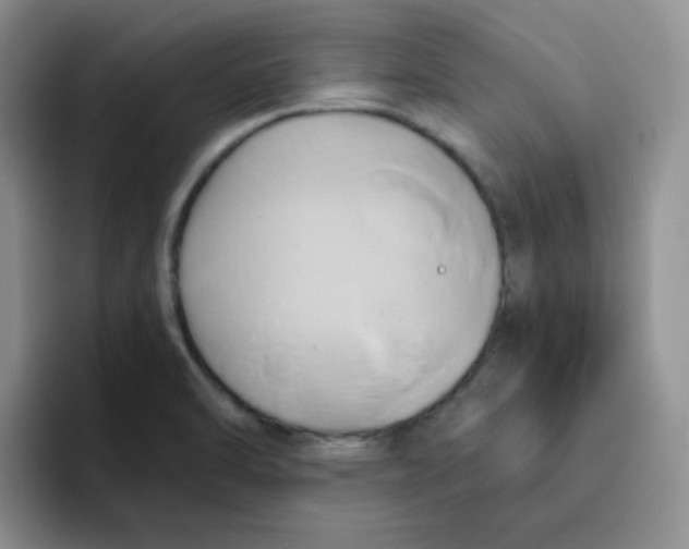 X0000091591470200709171125