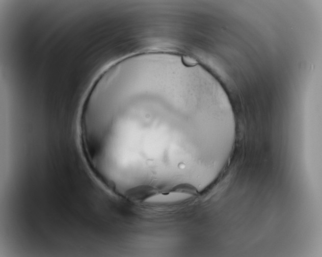 X0000091591471200709171125