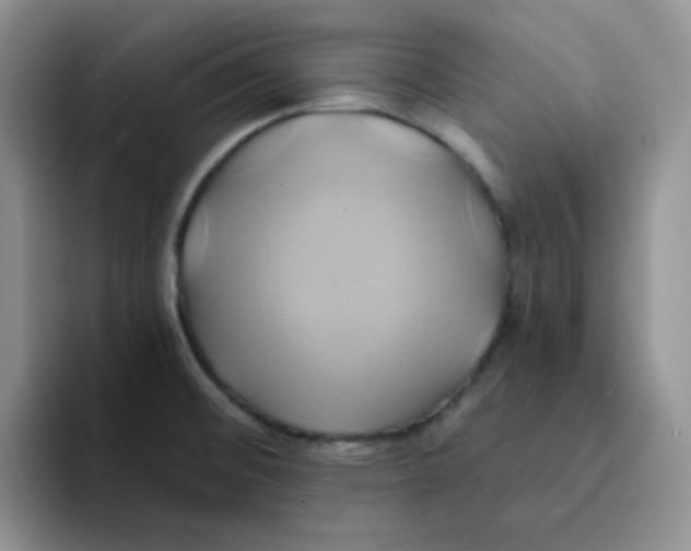 X0000091591476200709171125