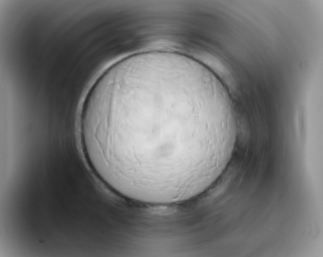 X0000091591478200709171125