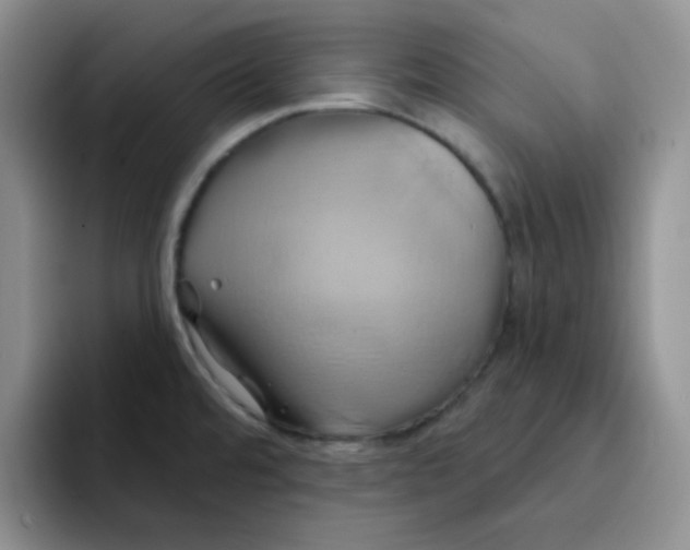 X0000091591480200709171125