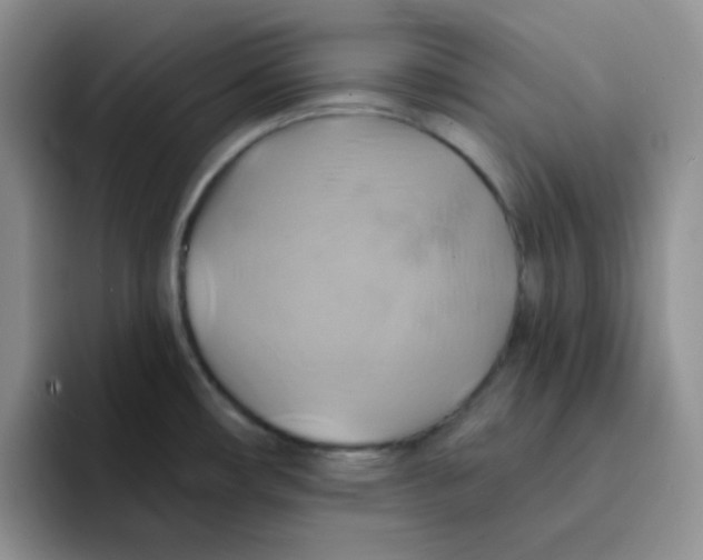 X0000091591482200709171125