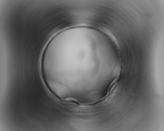 X0000091591483200709171125